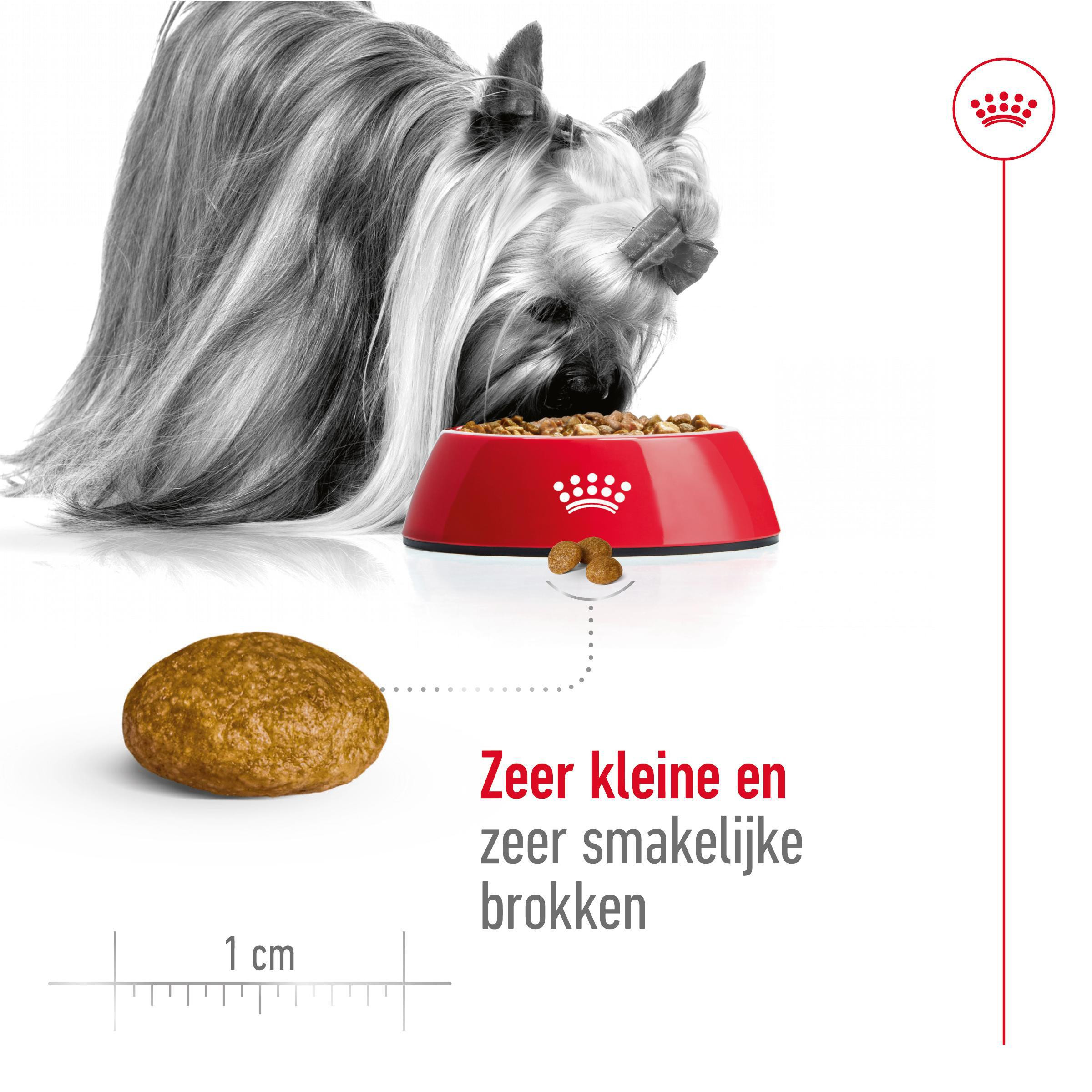 Royal Canin Mini X-Small Adult voor de hond