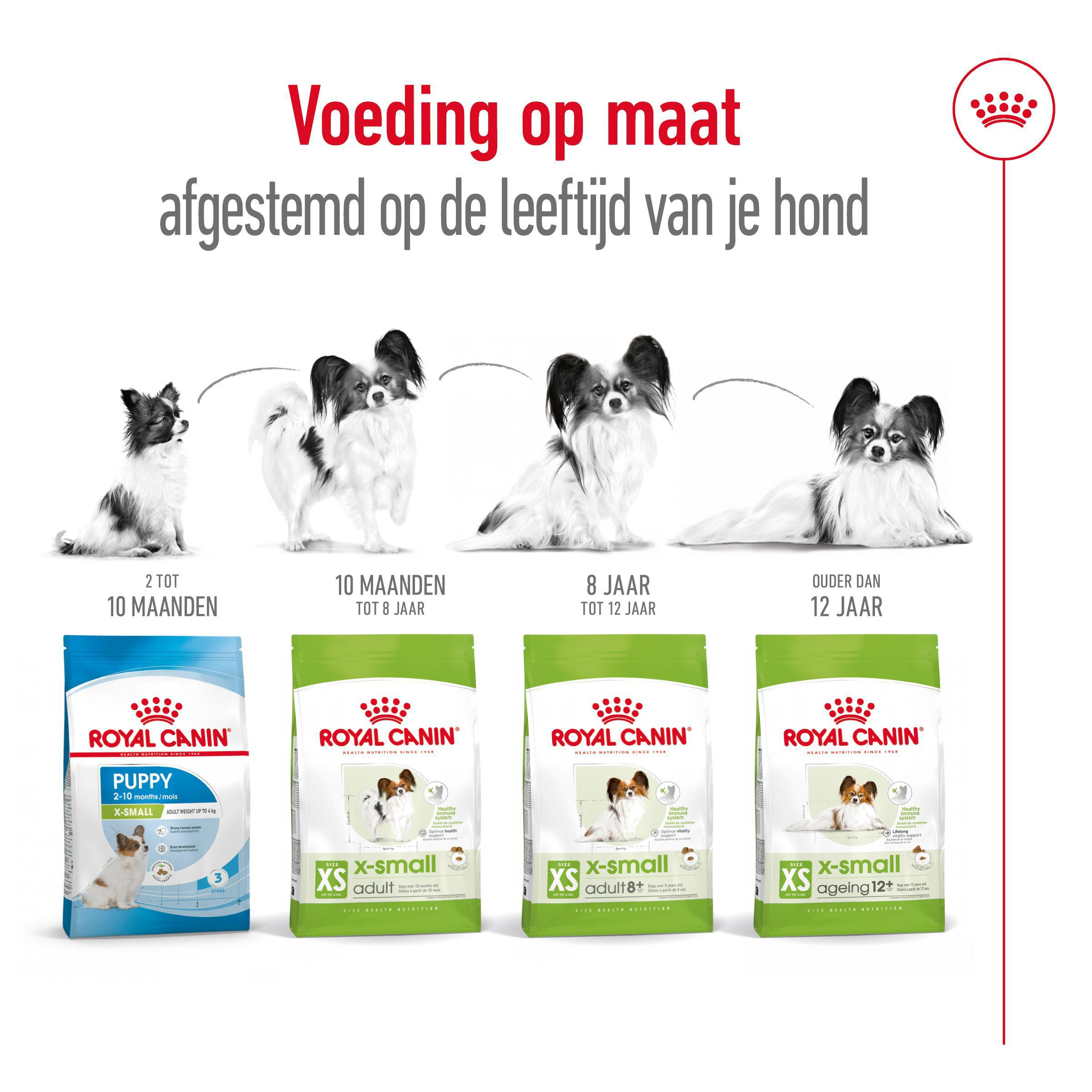 Royal Canin Mini X-Small Adult voor de hond