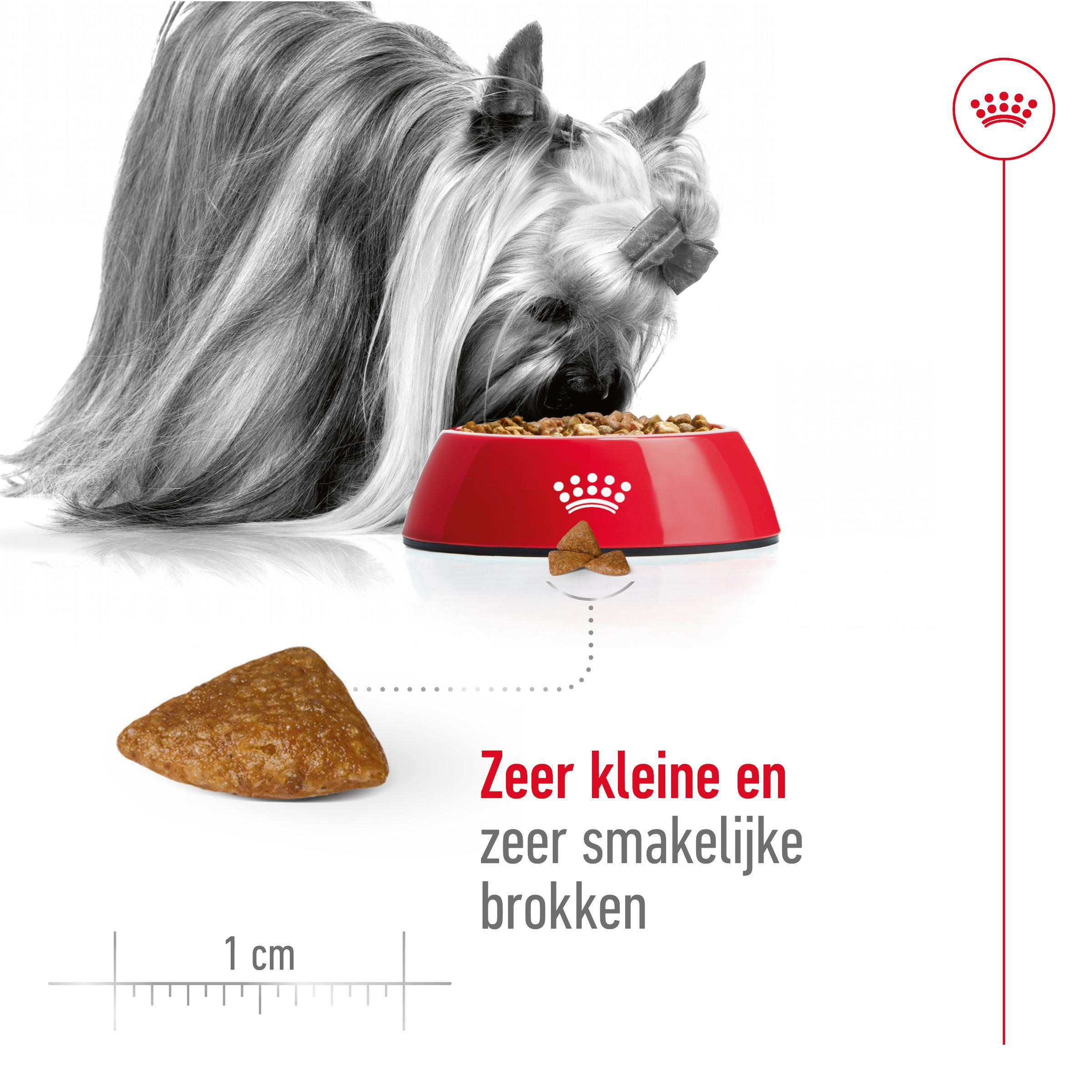 Royal Canin X-Small Ageing 12+ hondenvoer