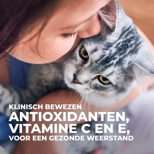 Hill's Kitten met tonijn kattenvoer