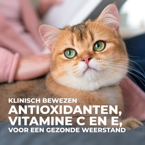 Hill’s Mature Adult Active Longevity Tonijn kattenvoer