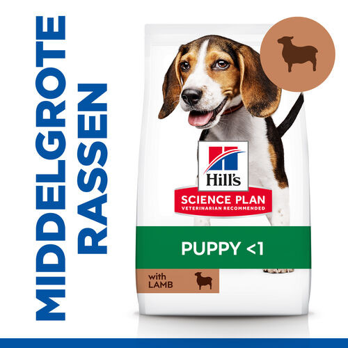 Hill's Puppy Healthy Development Lamm & Reis Hundefutter 