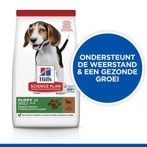 Hill's Puppy Healthy Development Lamm & Reis Hundefutter 