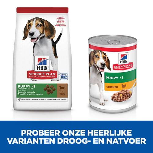 Hill's Puppy Healthy Development Lamm & Reis Hundefutter 