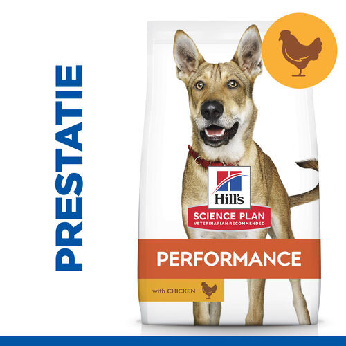 Hill's Adult Performance Huhn Hundefutter 