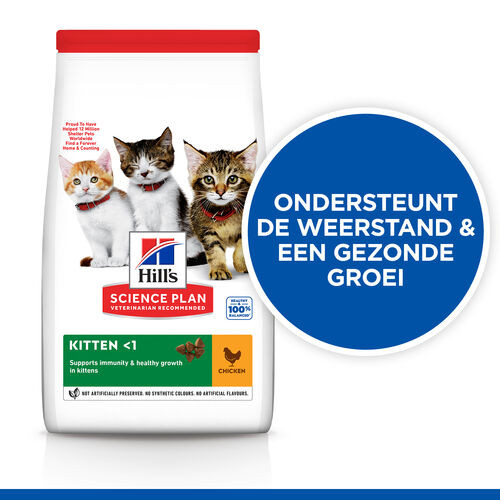 Hill's Kitten Healthy Development Huhn Katzenfutter