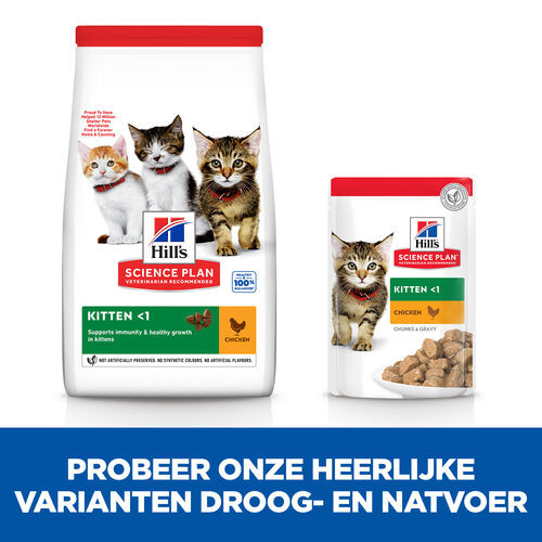 Hill's Kitten Healthy Development Huhn Katzenfutter