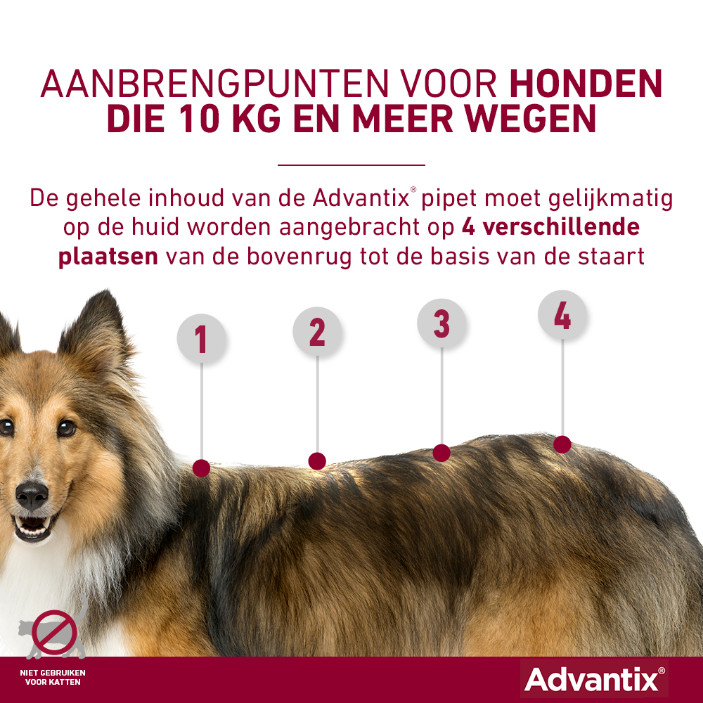 Advantix 400/2000 voor honden van 25 tot 40 kg