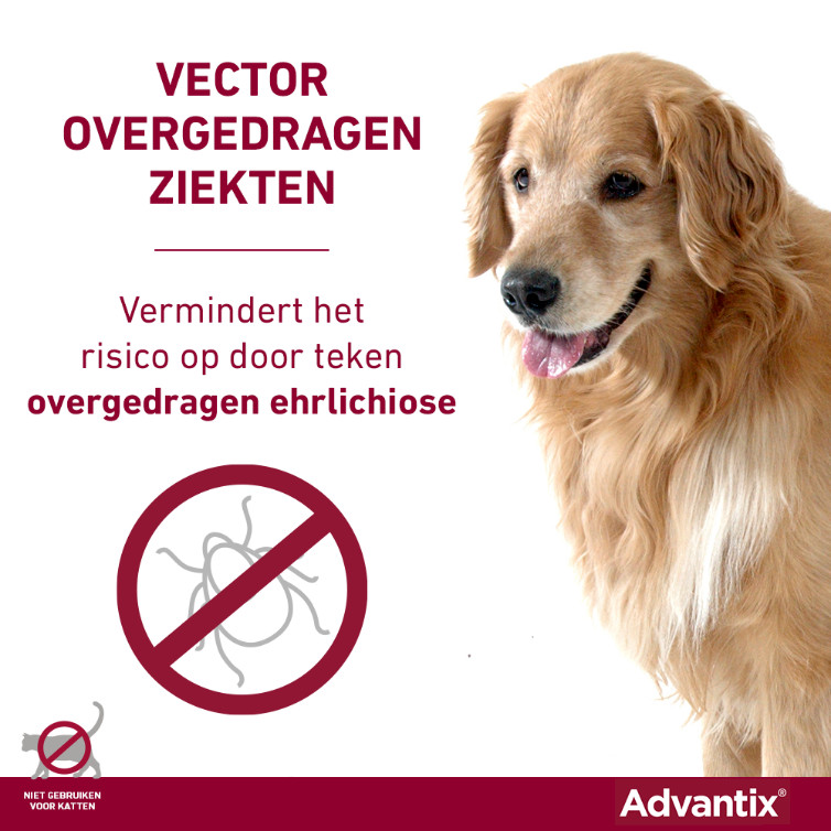 Advantix 100/500 voor honden van 4 tot 10 kg