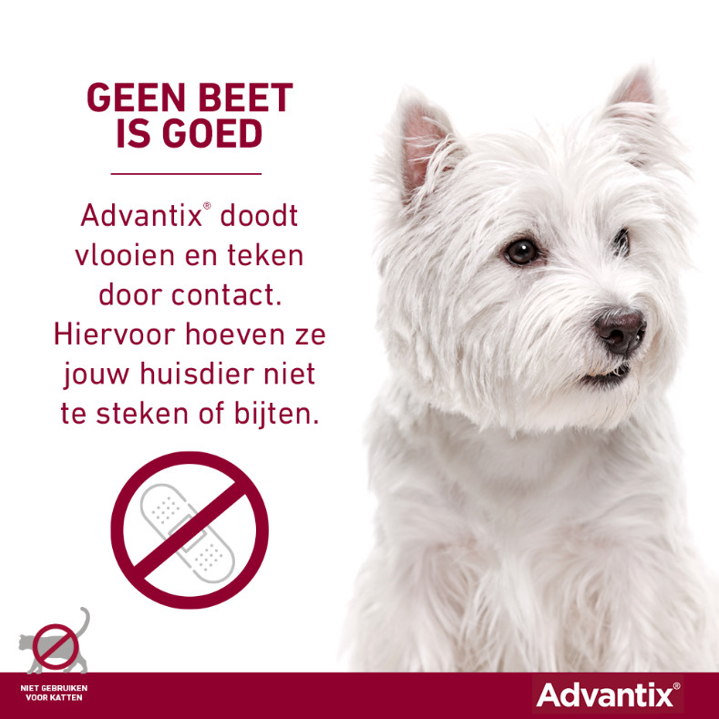 Advantix 100/500 voor honden van 4 tot 10 kg