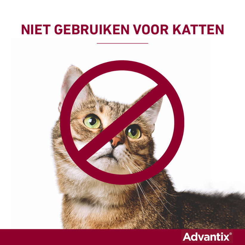 Advantix 100/500 voor honden van 4 tot 10 kg