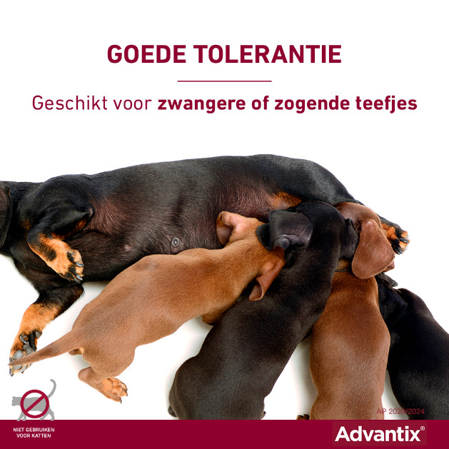 Advantix 100/500 voor honden van 4 tot 10 kg
