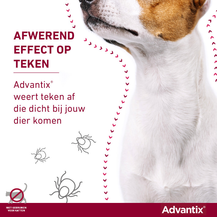 Advantix 100/500 voor honden van 4 tot 10 kg