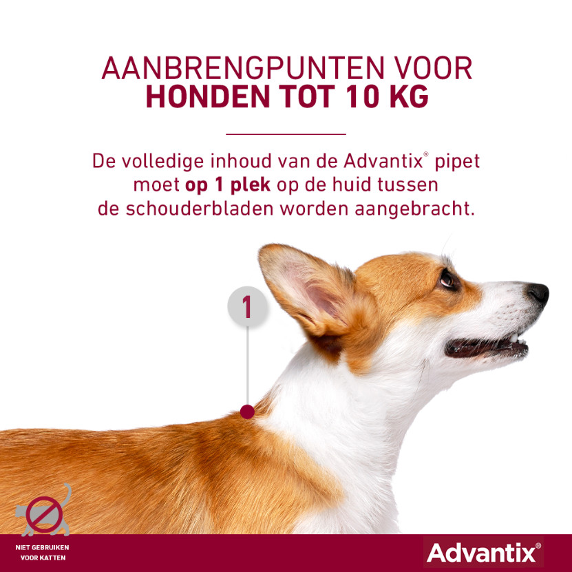 Advantix 100/500 voor honden van 4 tot 10 kg