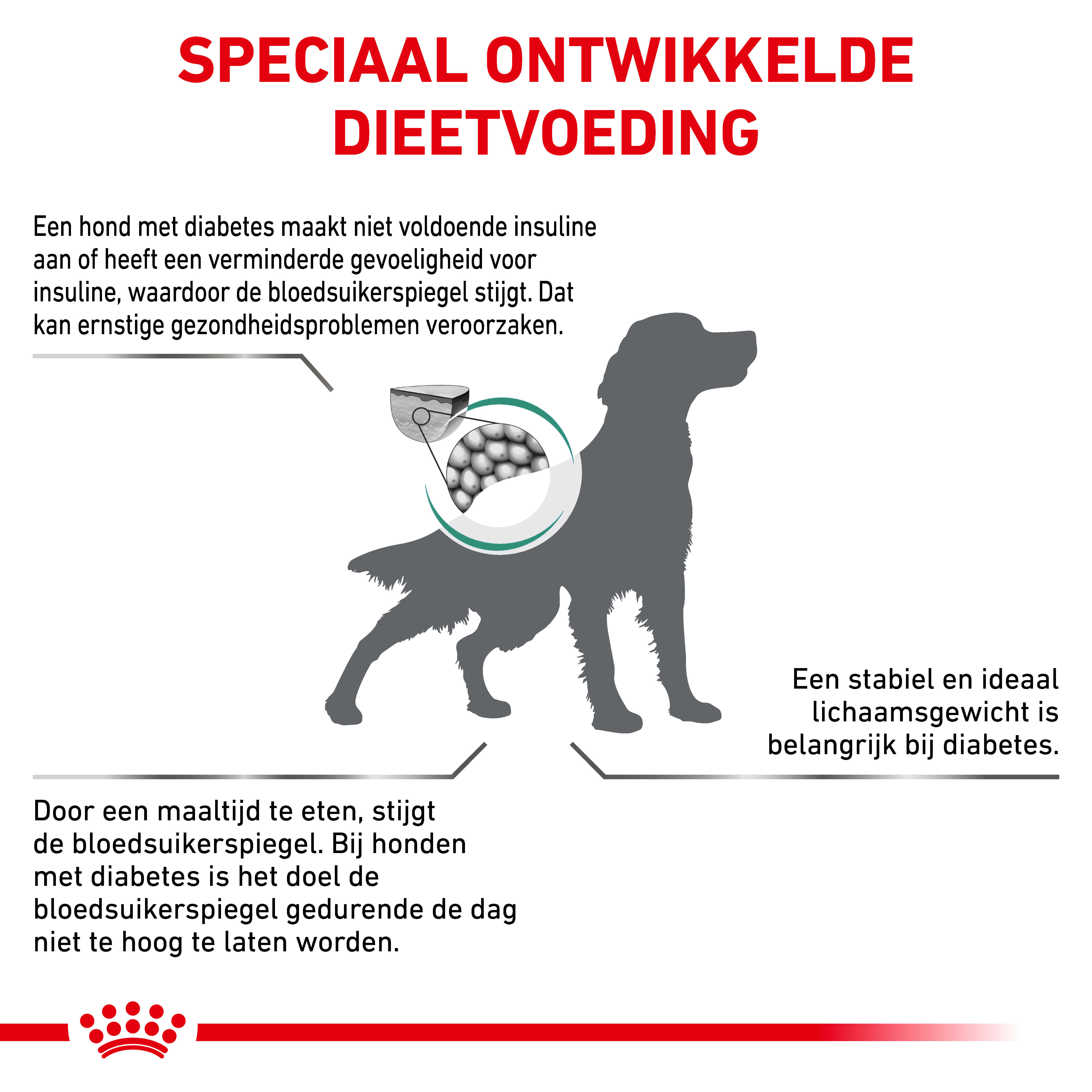 Royal Canin Veterinary Diabetic hondenvoer