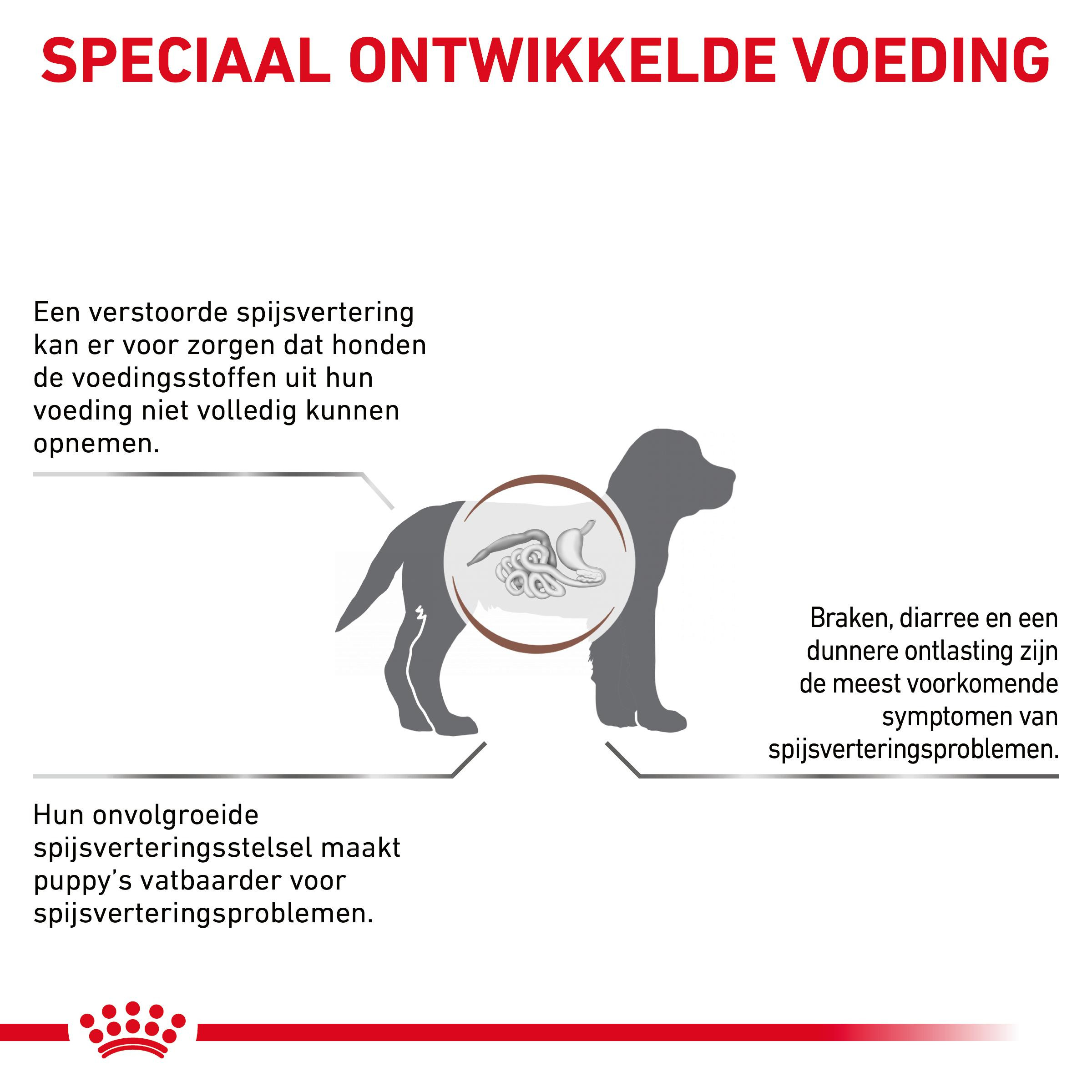 Royal Canin Gastro Intestinal Junior Hondenvoer