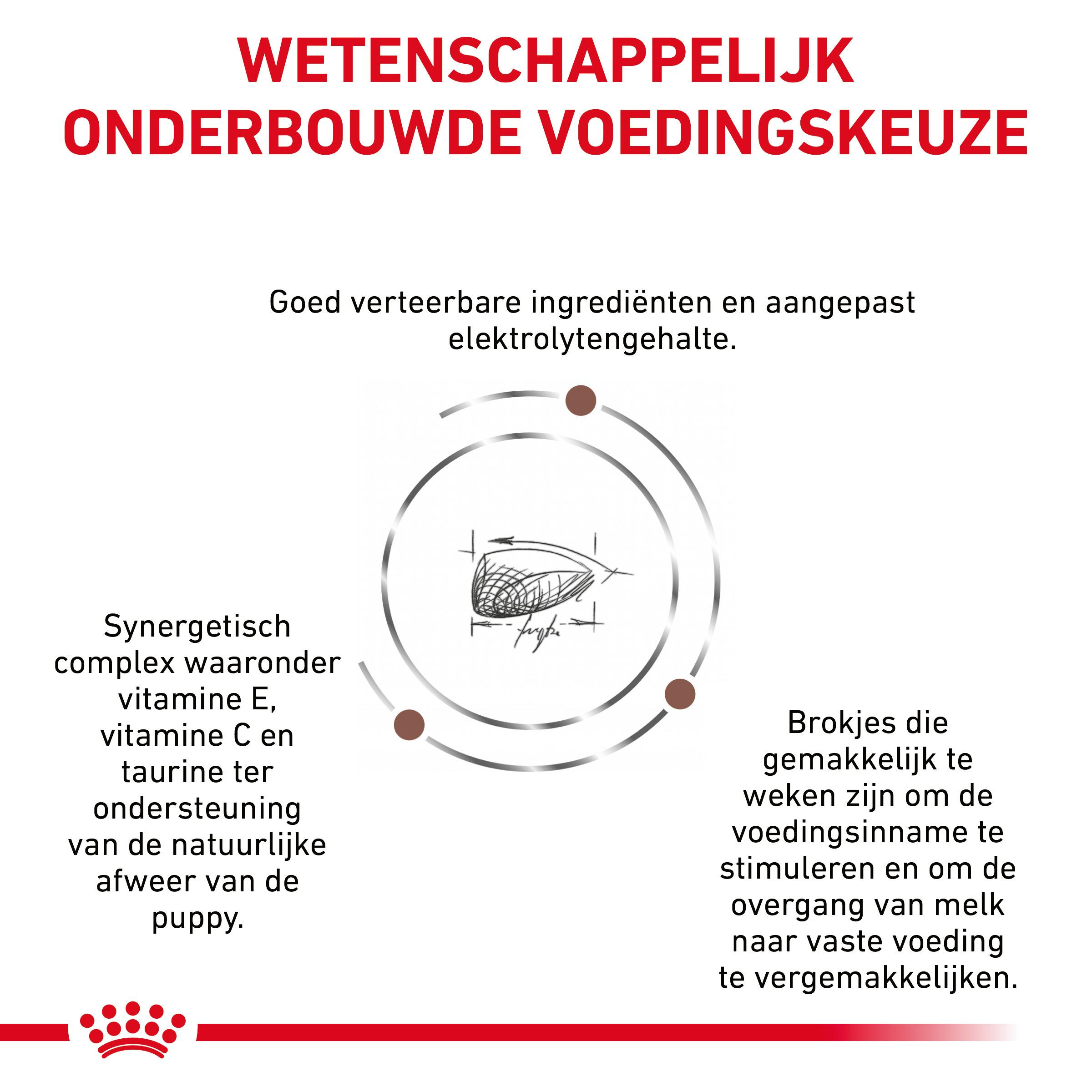 Royal Canin Gastro Intestinal Junior Hondenvoer