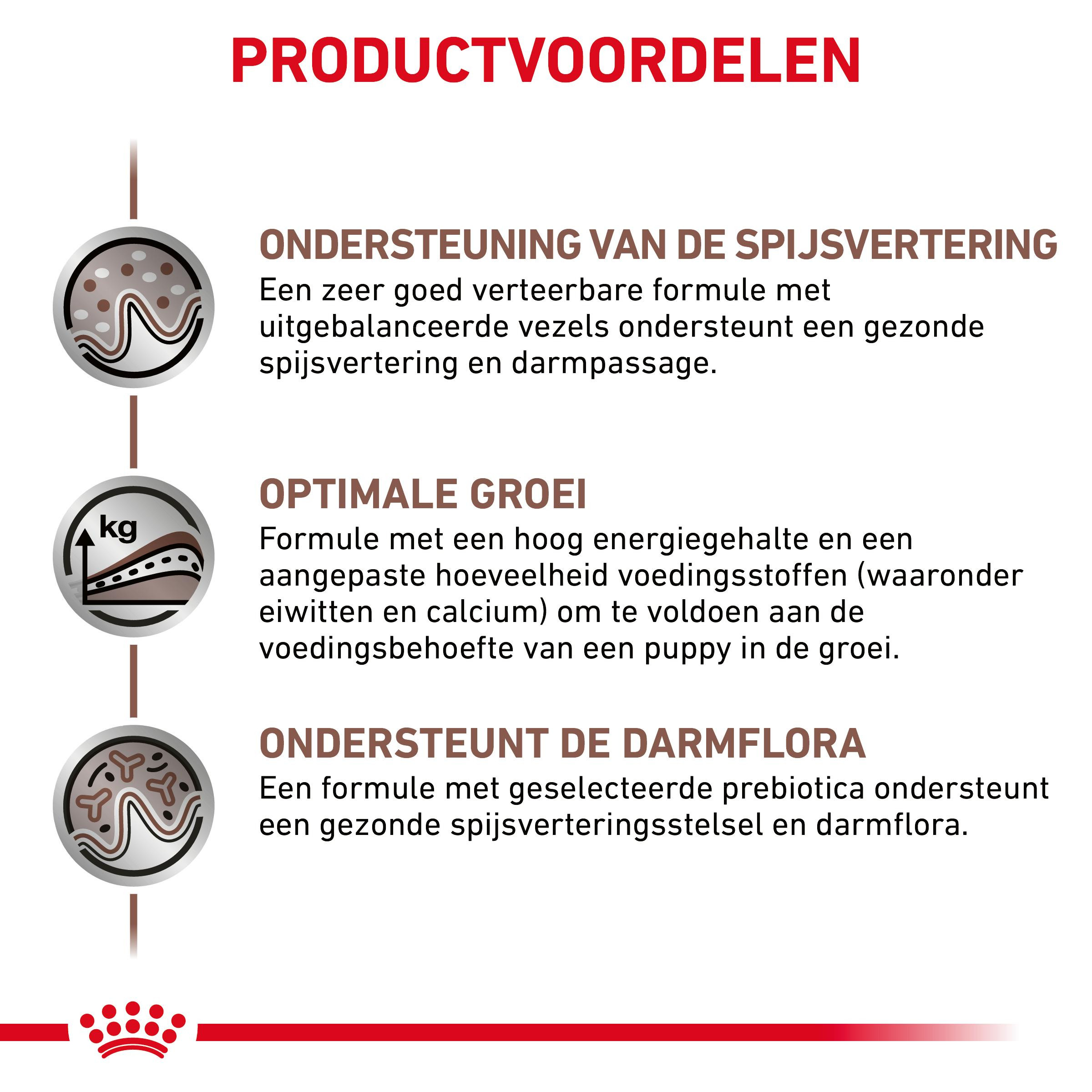 Royal Canin Gastro Intestinal Junior Hondenvoer