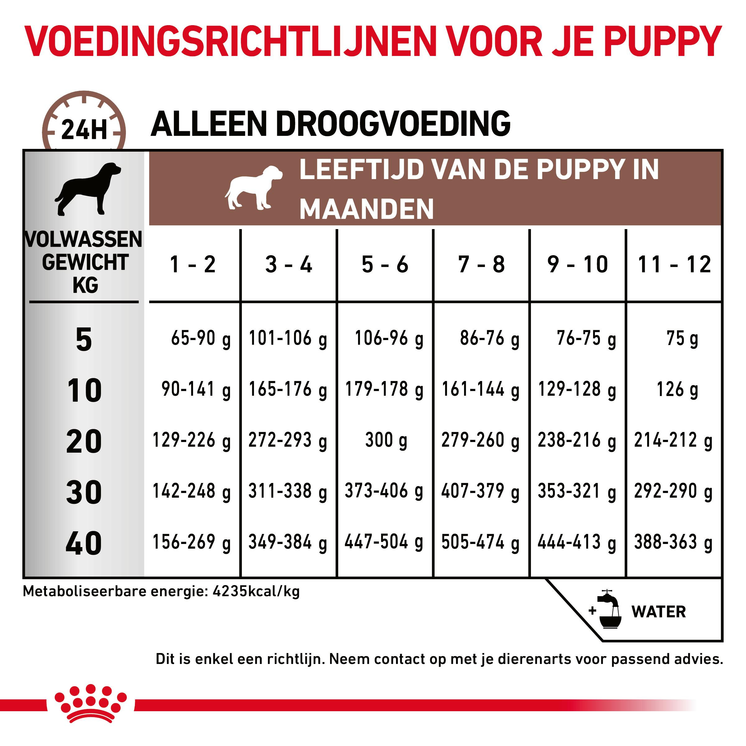 Royal Canin Gastro Intestinal Junior Hondenvoer