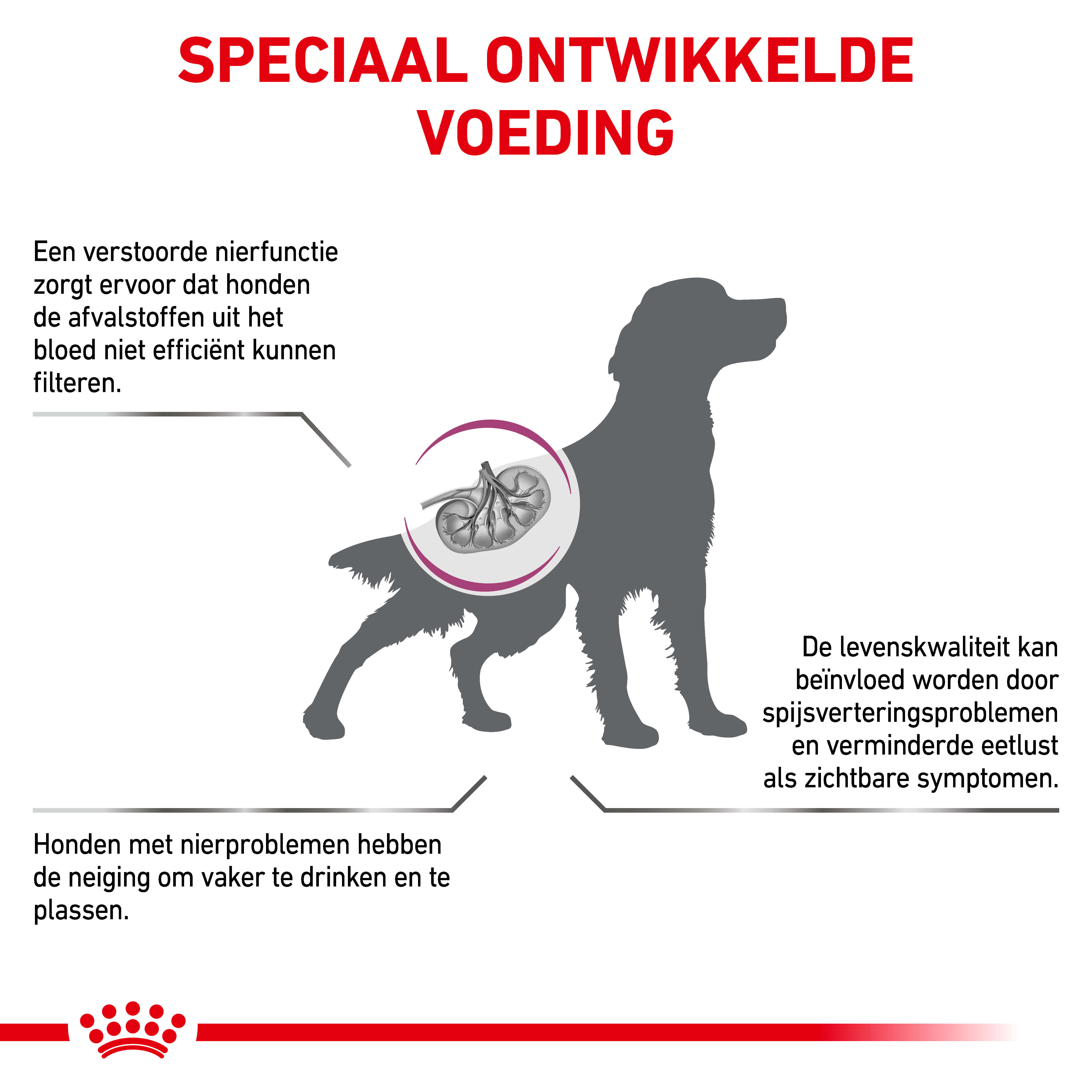 Royal Canin Renal Dog
