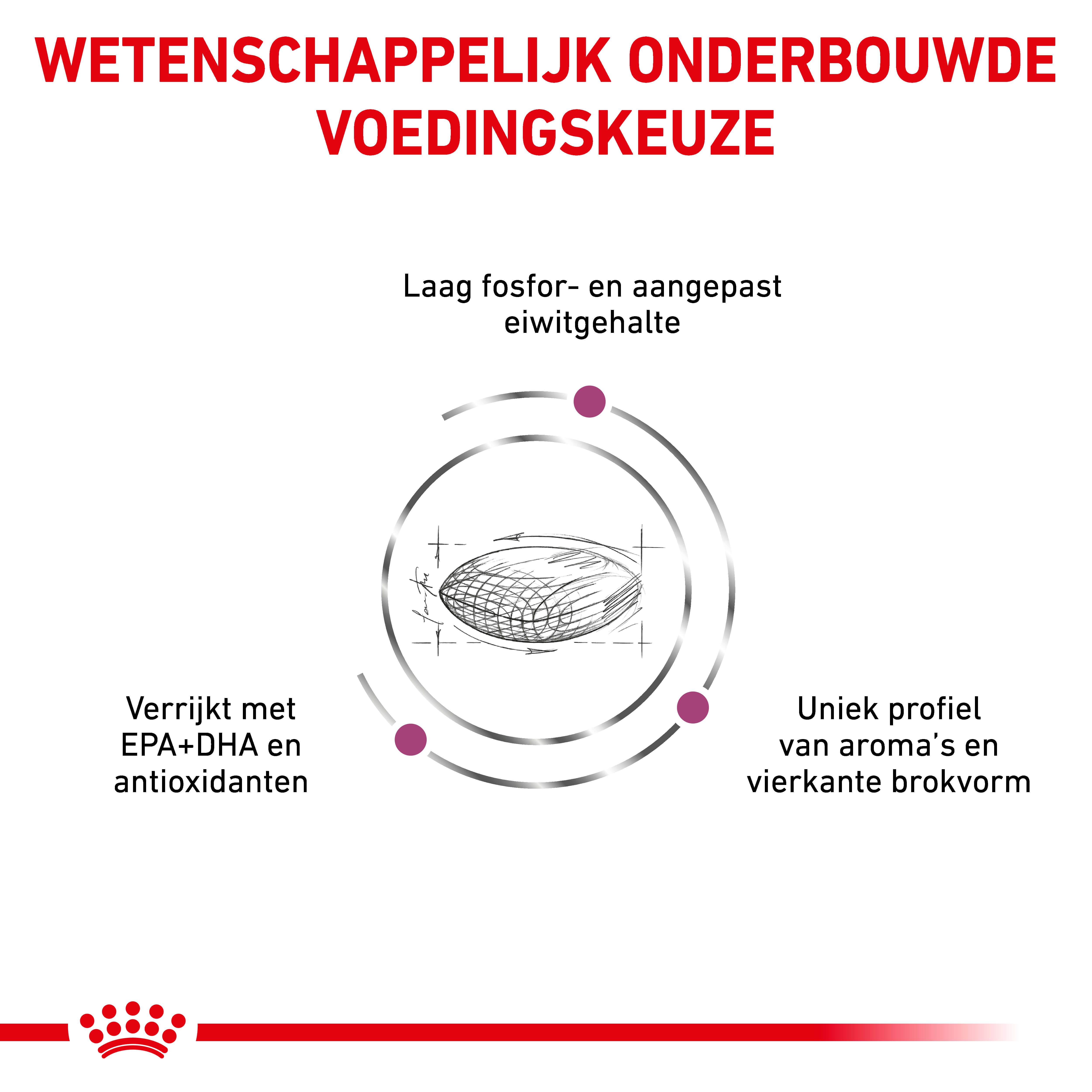 Royal Canin Renal Dog