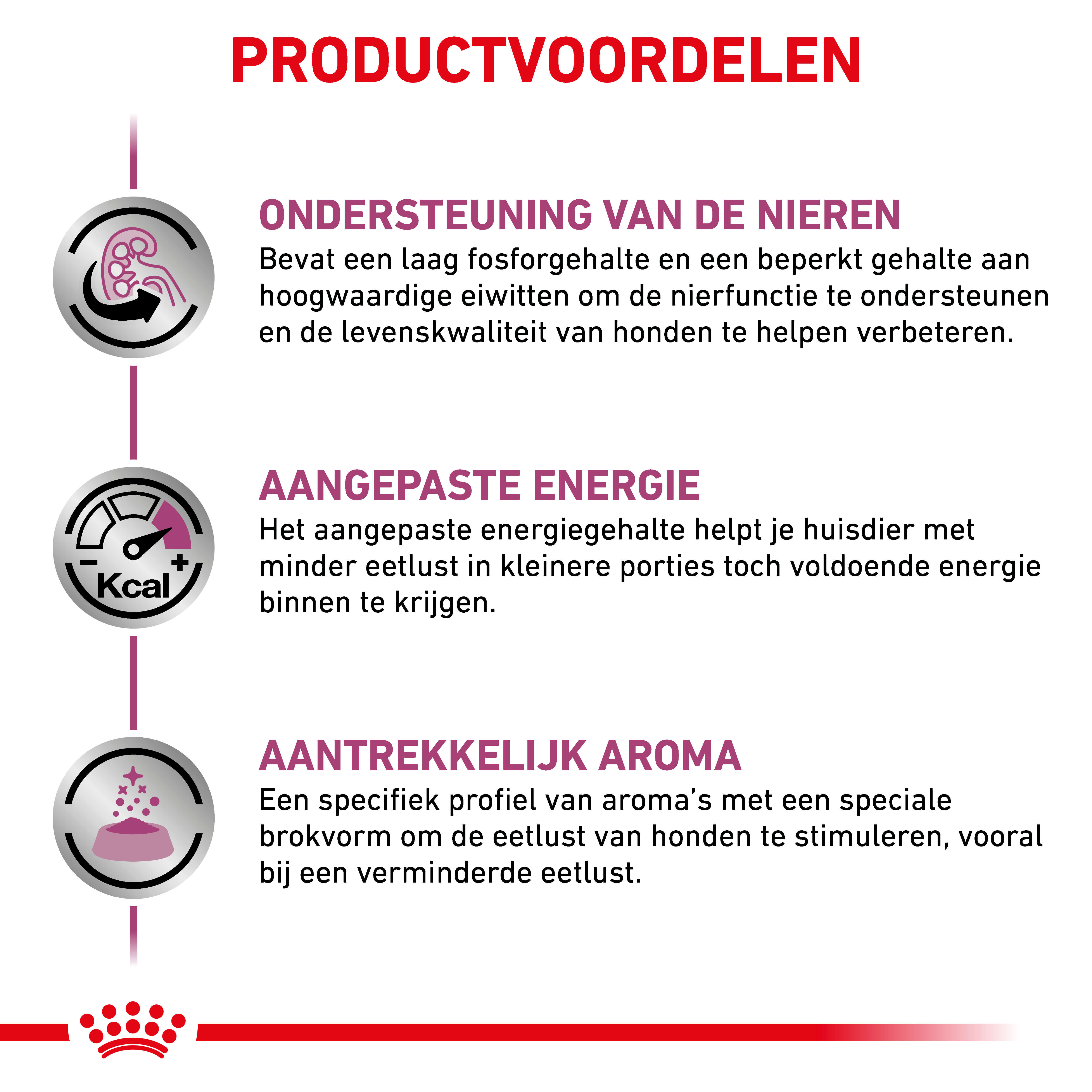 Royal Canin Renal Dog