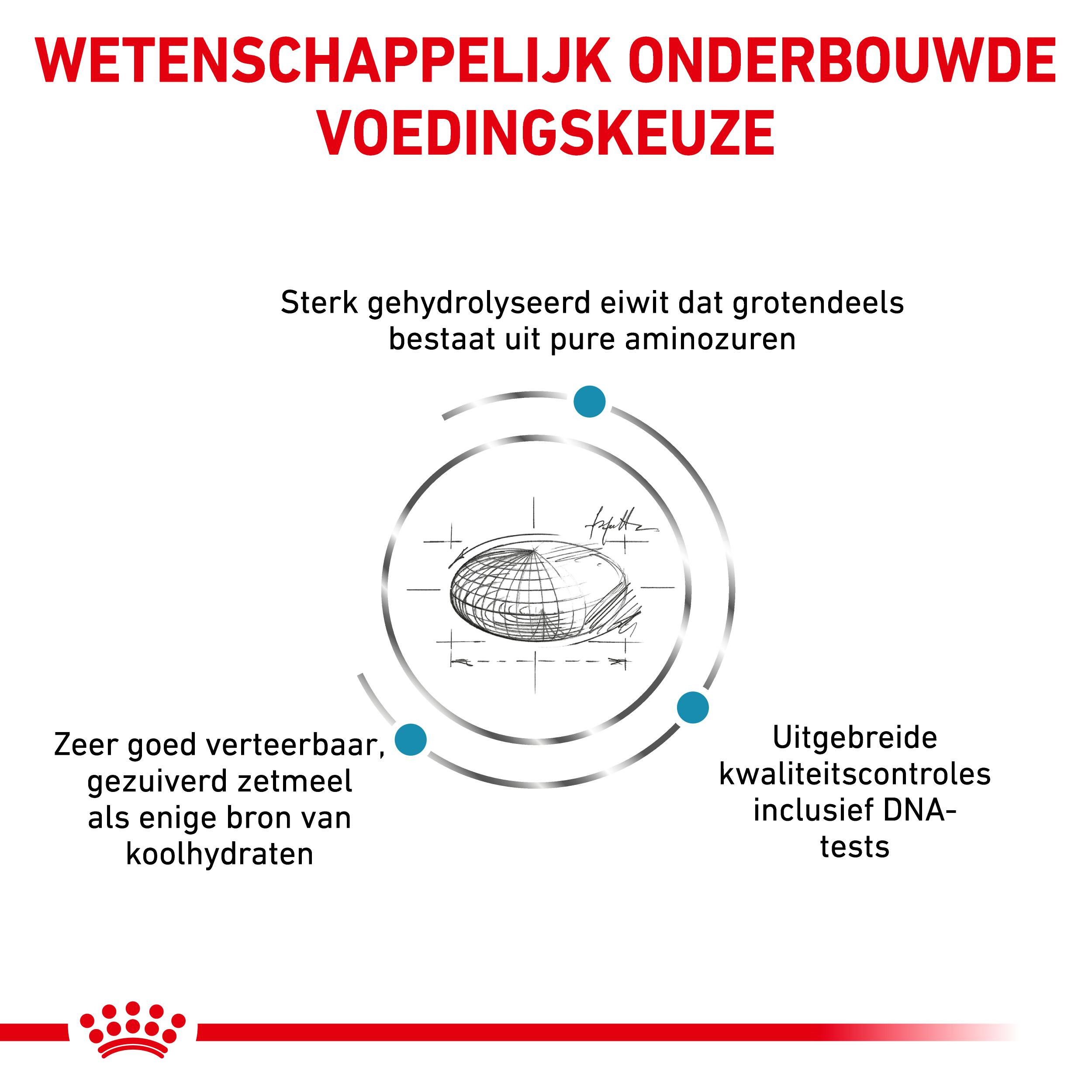 Royal Canin Veterinary Anallergenic kattenvoer