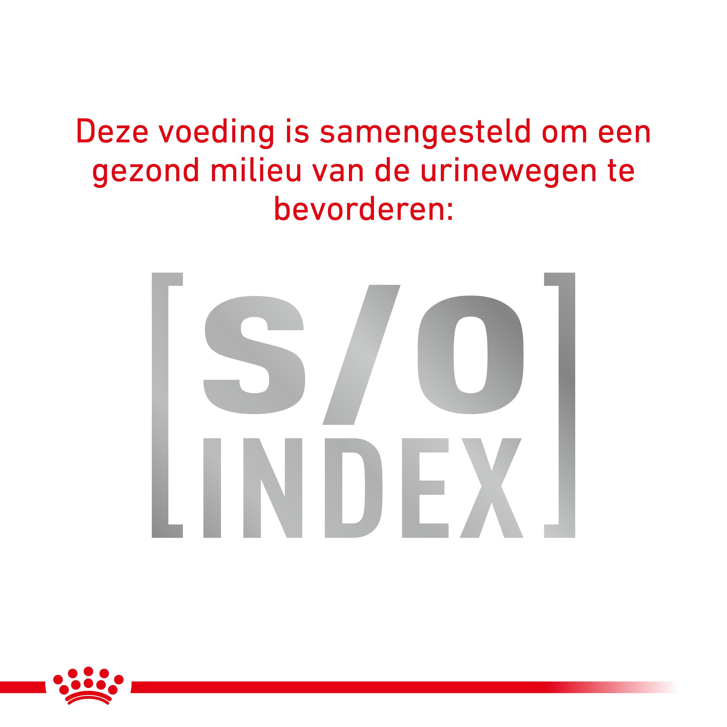 Royal Canin Veterinary Anallergenic kattenvoer