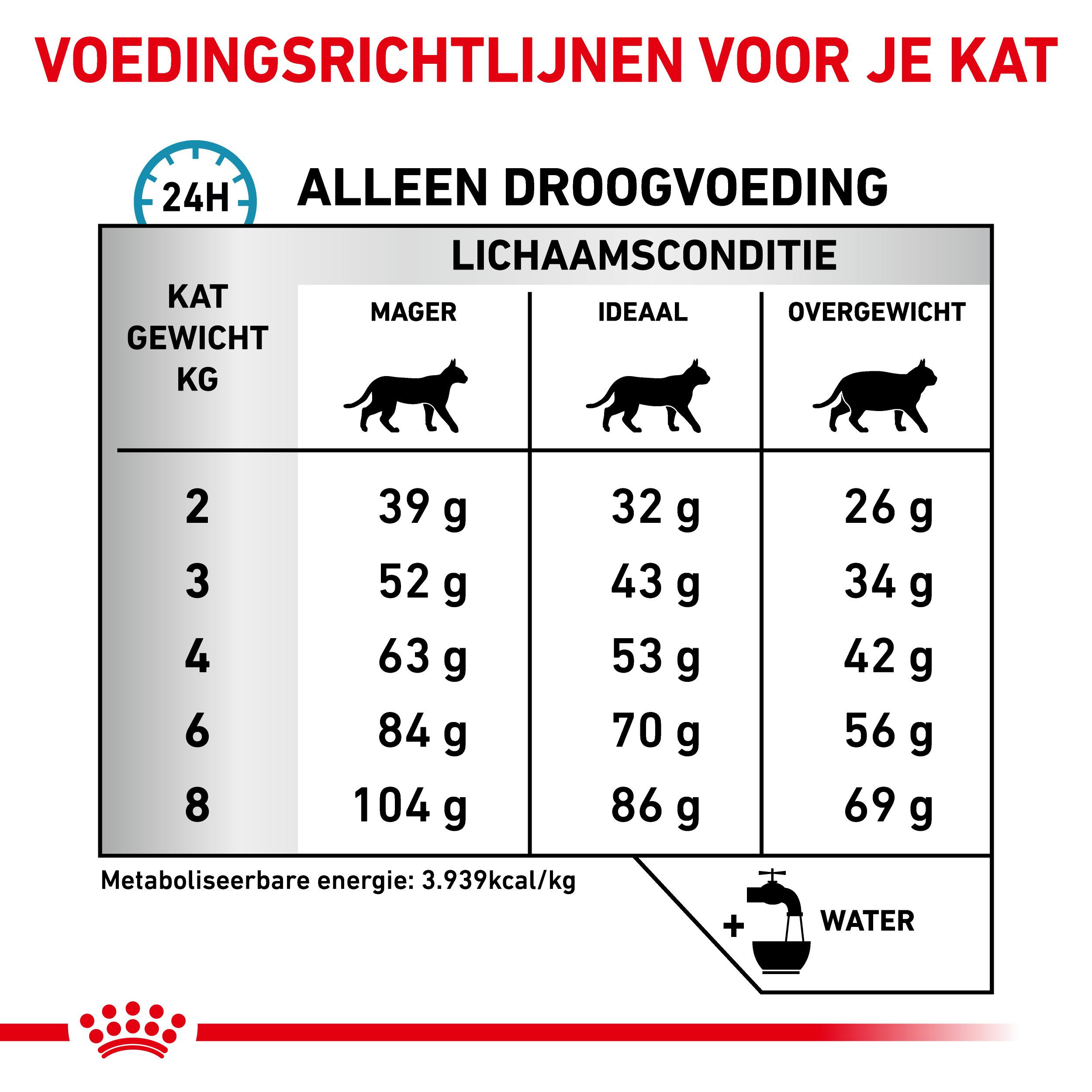 Royal Canin Veterinary Anallergenic kattenvoer