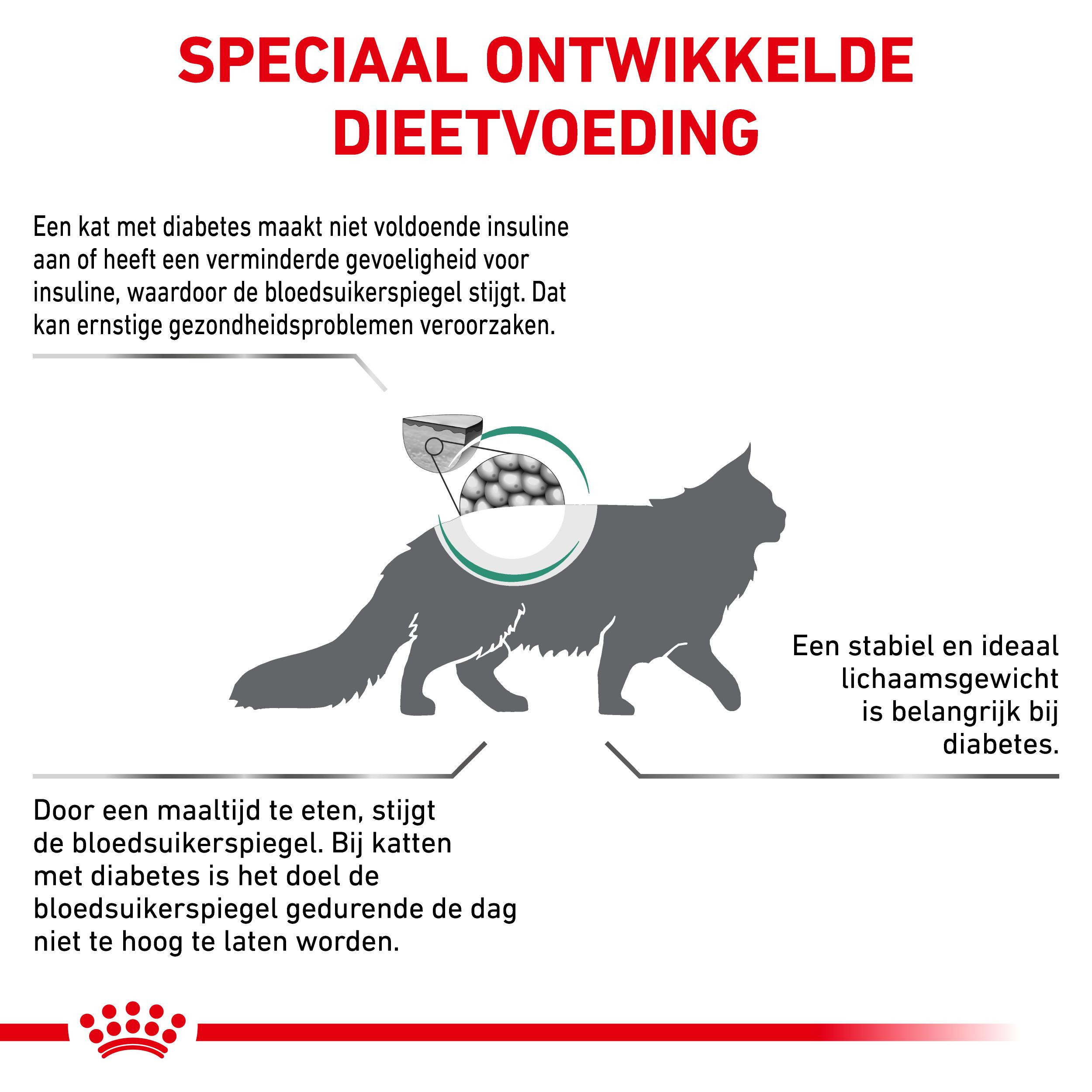 Royal Canin Veterinary Diabetic kattenvoer