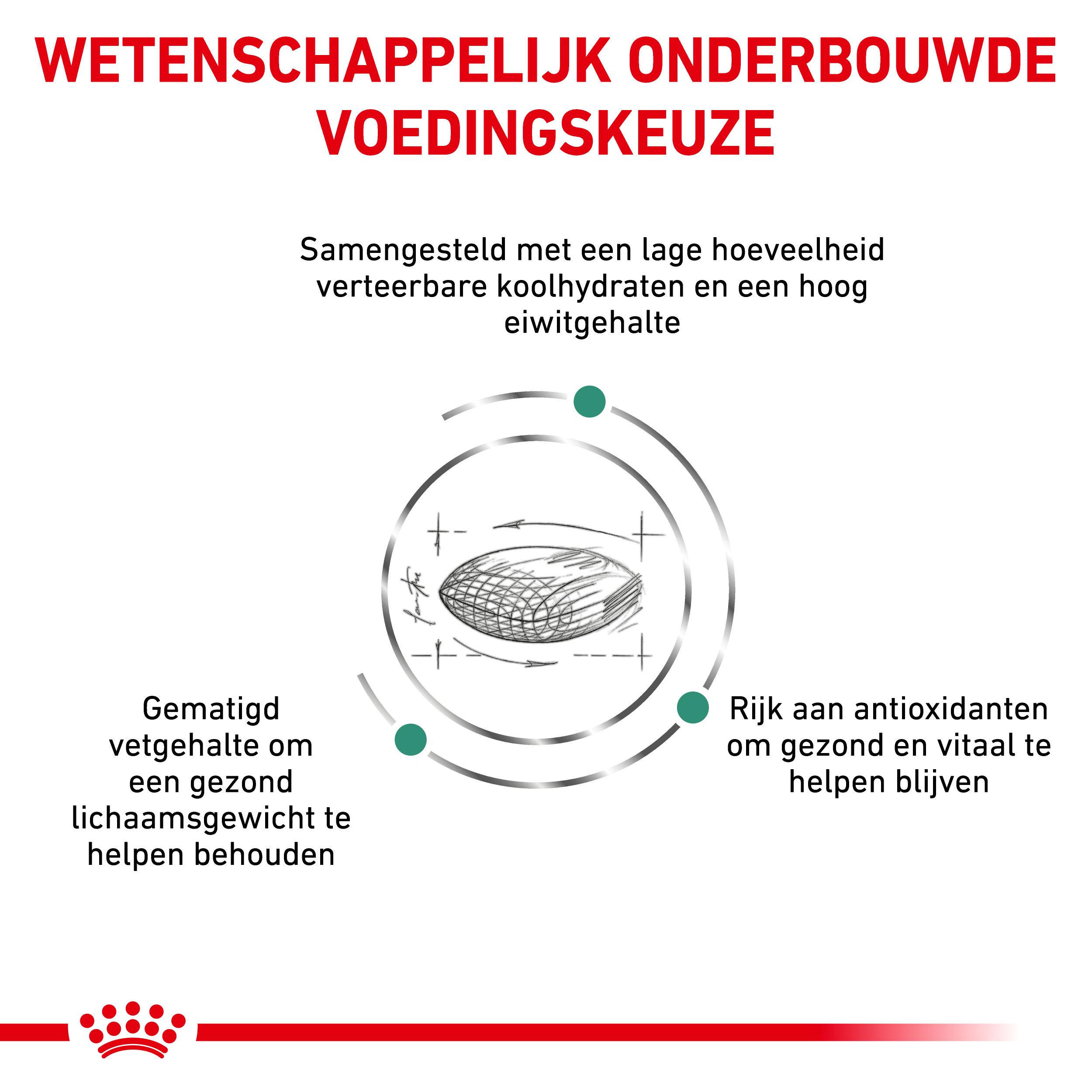 Royal Canin Veterinary Diabetic kattenvoer