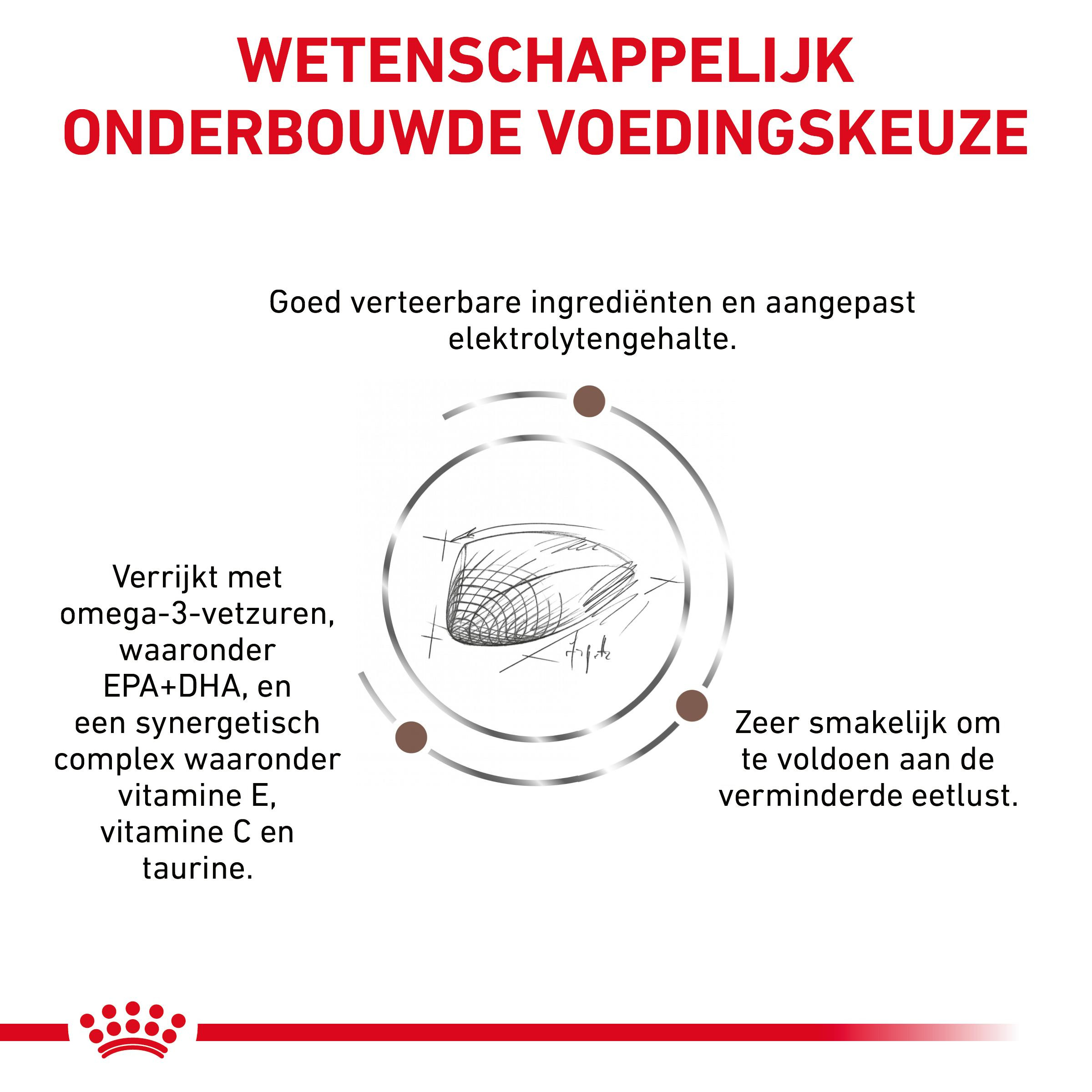 Royal Canin Gastro Intestinal kattenvoer