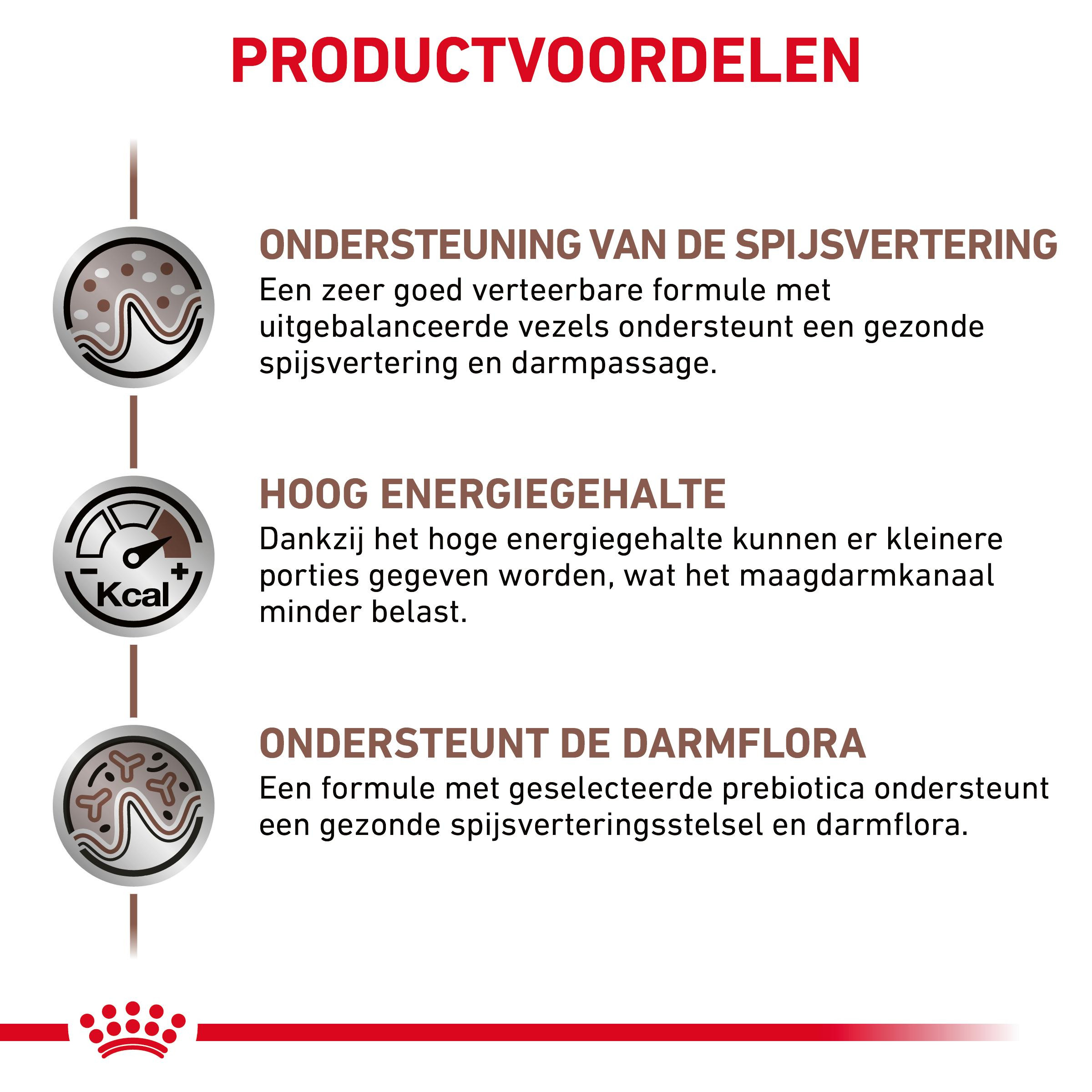 Royal Canin Gastro Intestinal kattenvoer