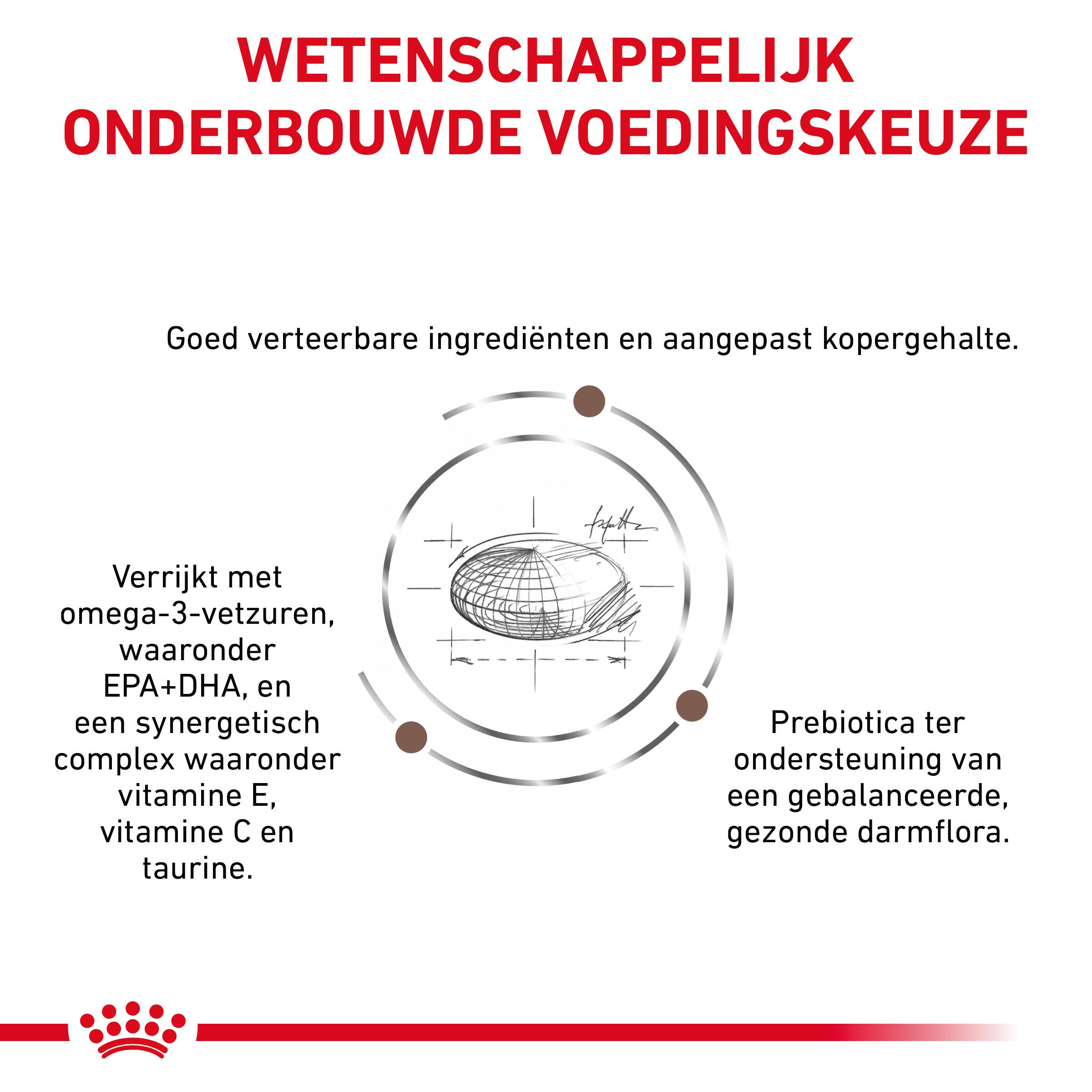 Royal Canin Veterinary Hepatic kattenvoer
