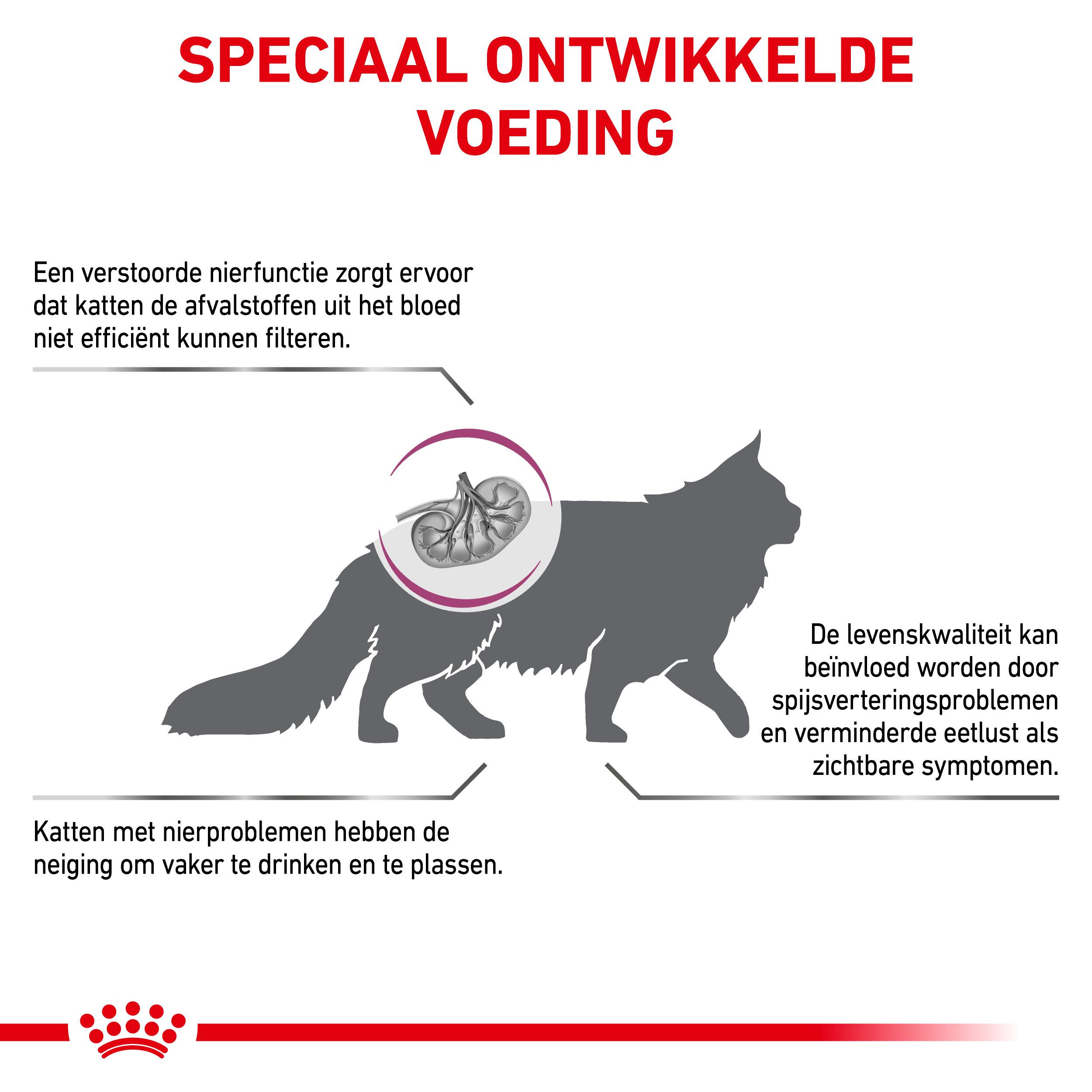 Royal Canin Veterinary Renal Special kattenvoer