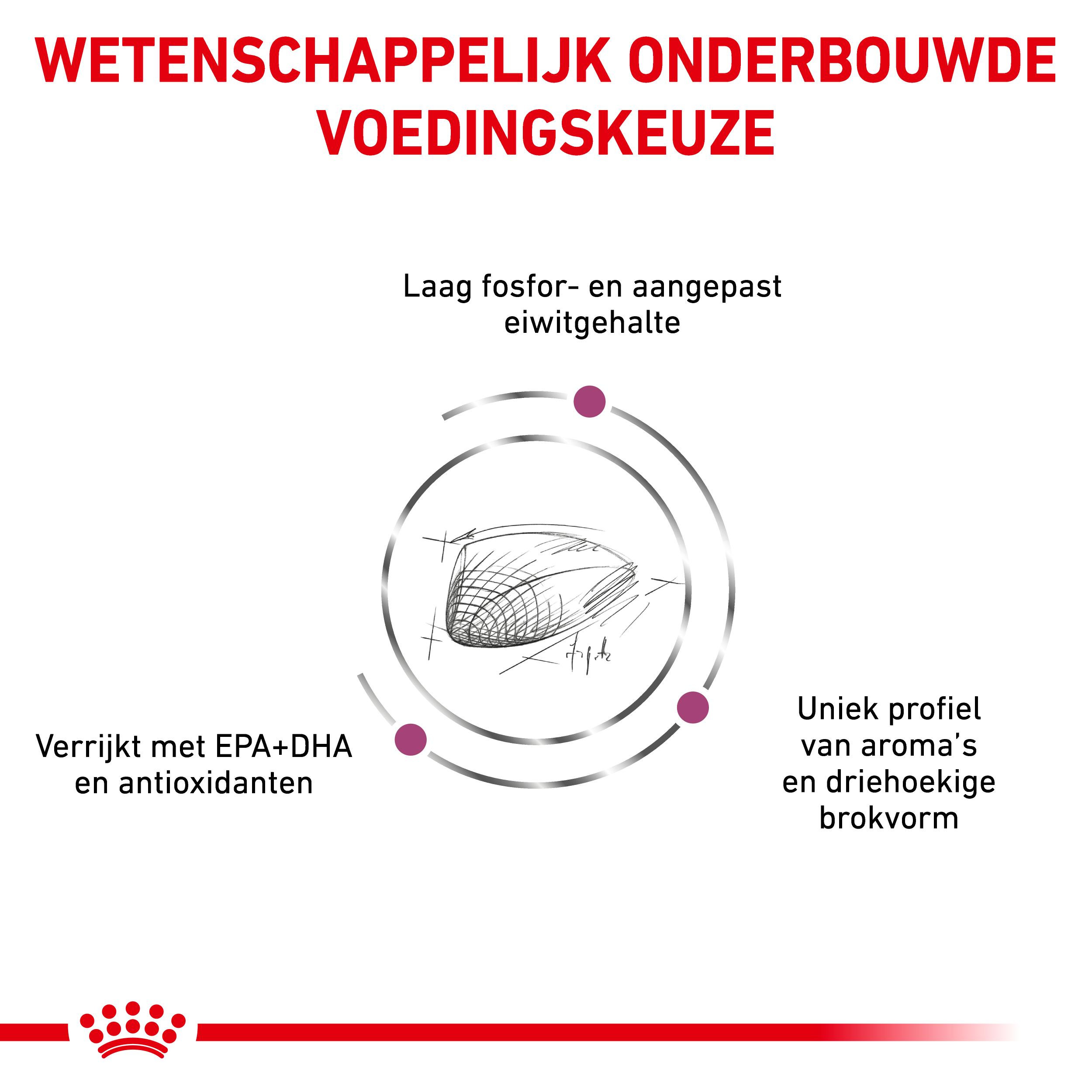 Royal Canin Veterinary Renal Special kattenvoer