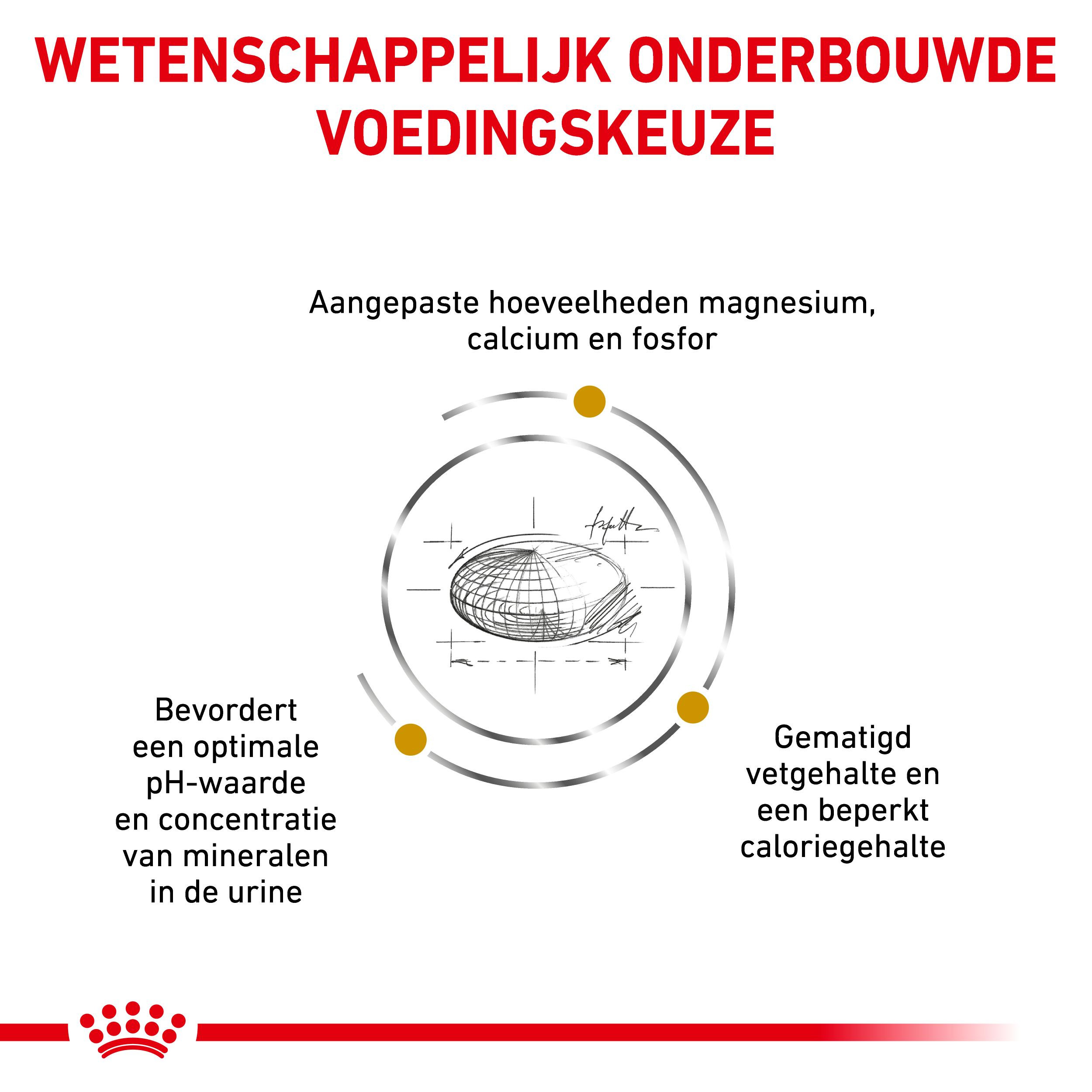 Royal Canin Veterinary Urinary S/O Moderate Calorie kattenvoer
