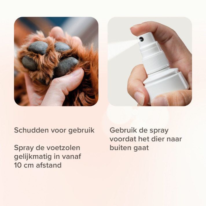 Beaphar Voetzolenspray voor de hond