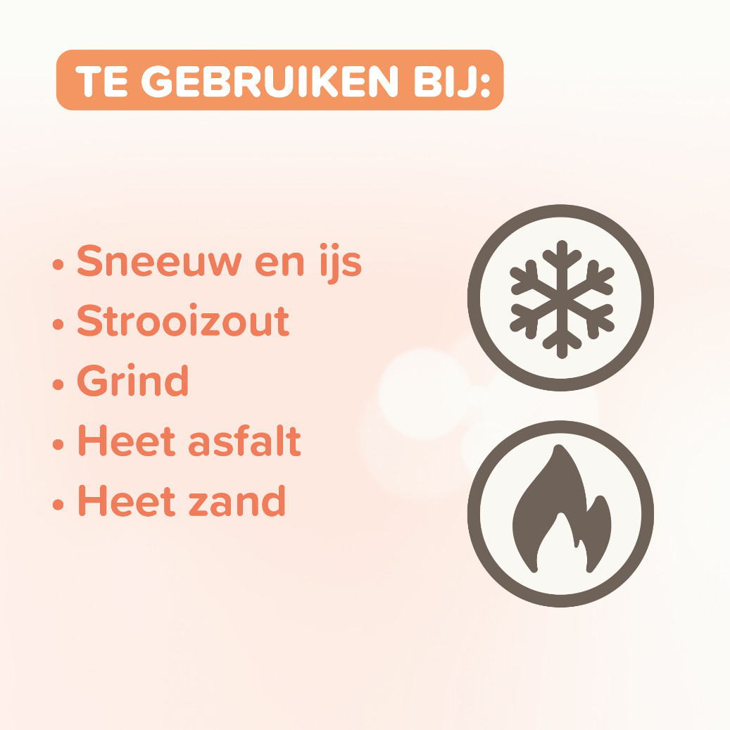 Beaphar Voetzolenspray voor de hond