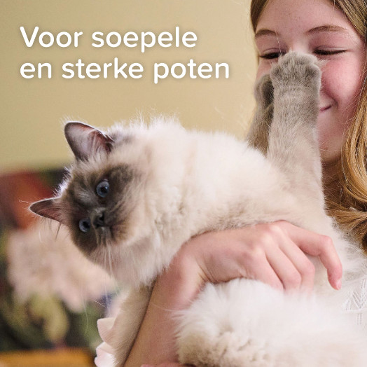 Beaphar Voetzolenspray voor de hond