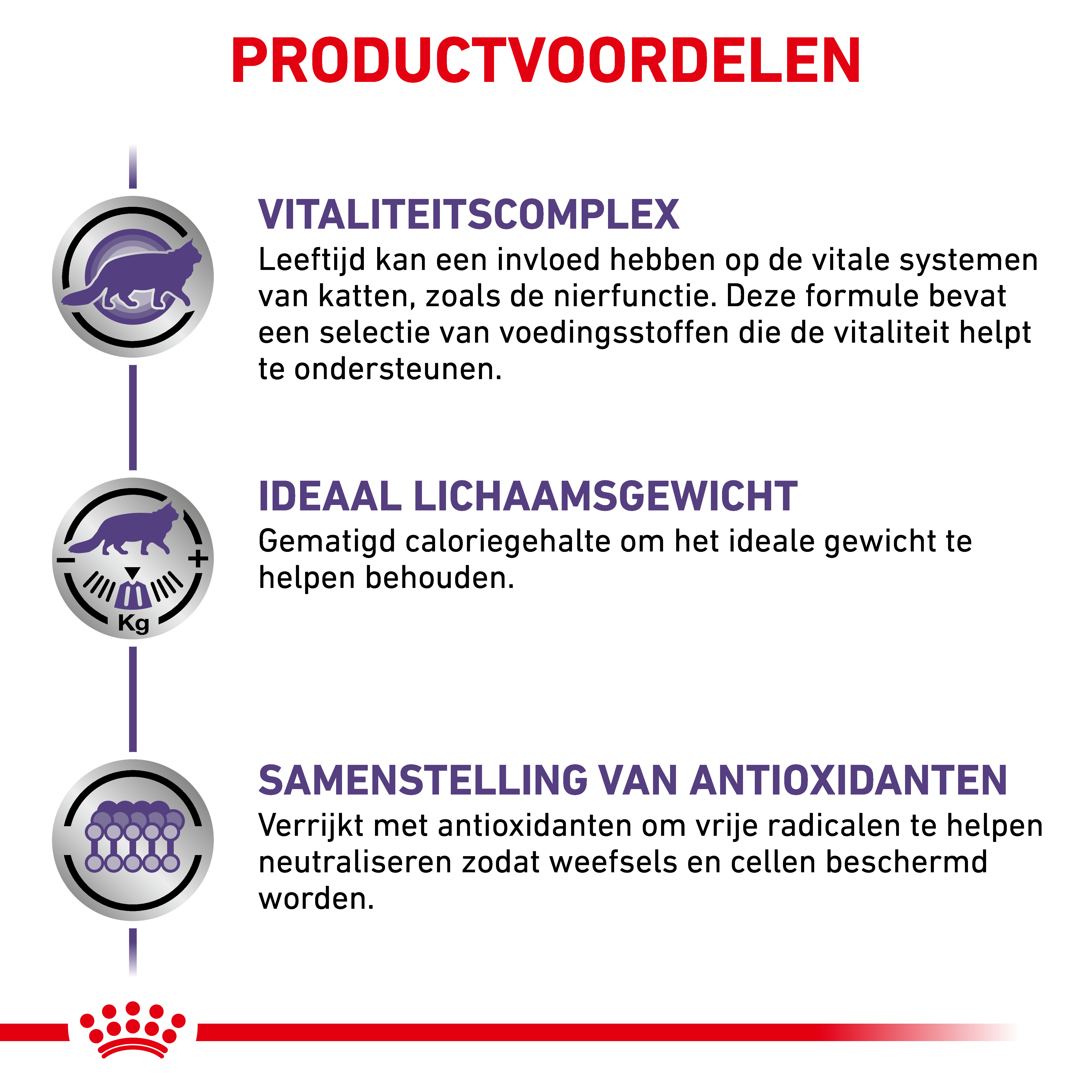 Royal Canin Expert Mature Consult Balance natvoer kat