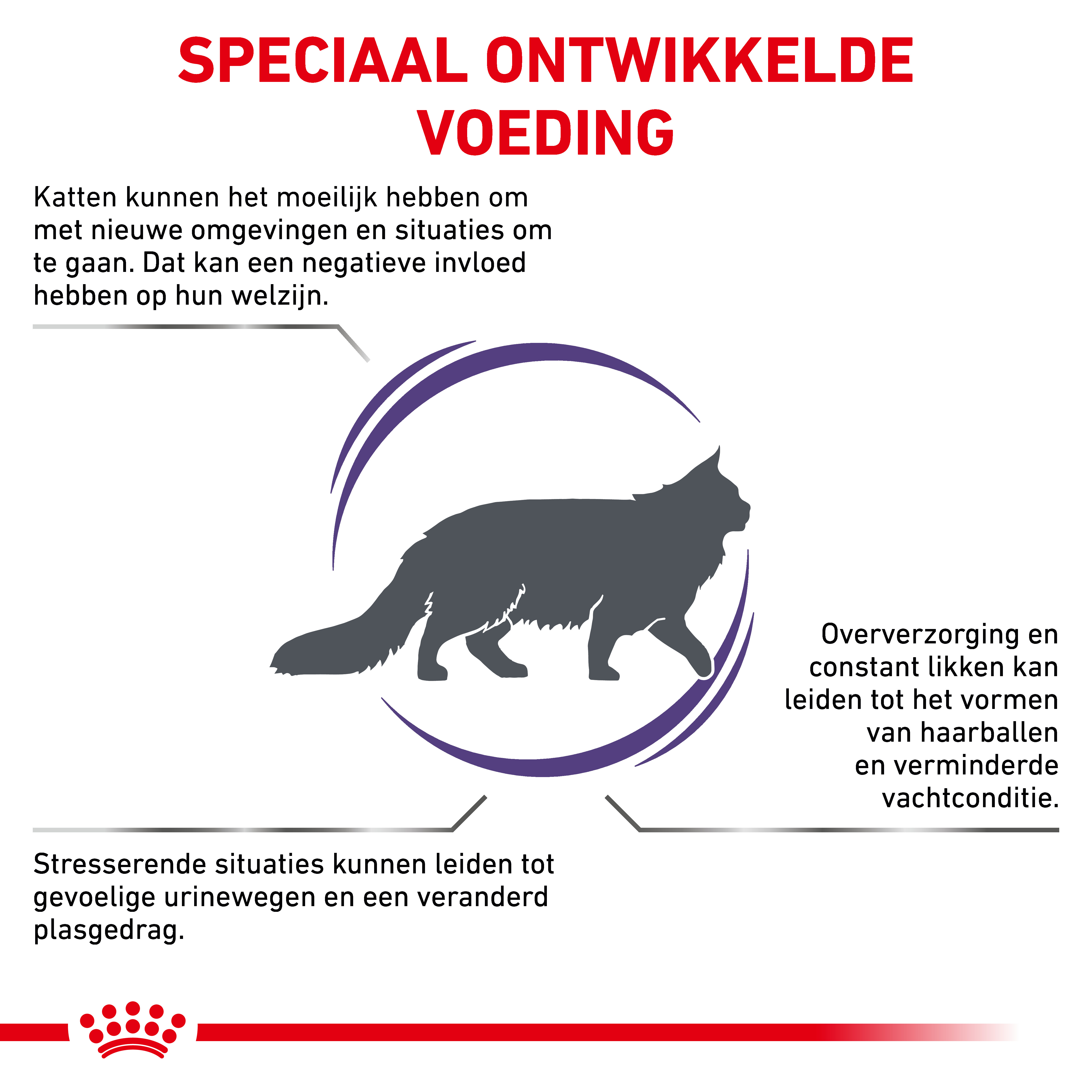 Royal Canin Expert Calm kattenvoer