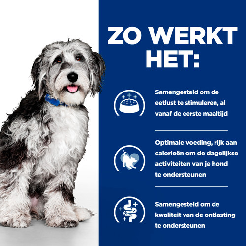 Hill's Prescription Diet On-Care stoofpotje voor honden met kip & groenten blik