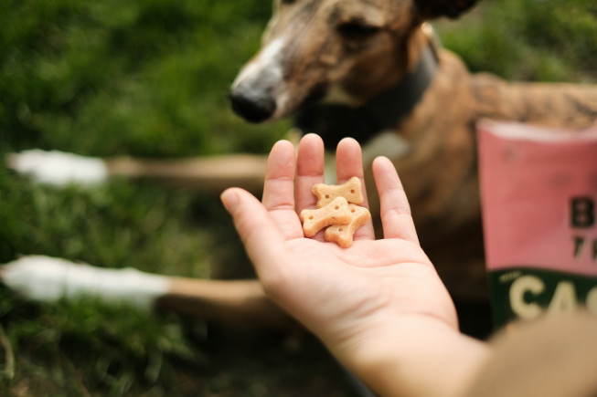 Beco Treats Cashew hondensnacks