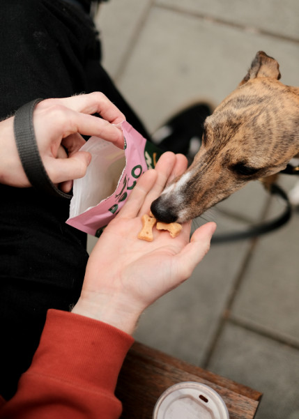 Beco Treats Cashew hondensnacks