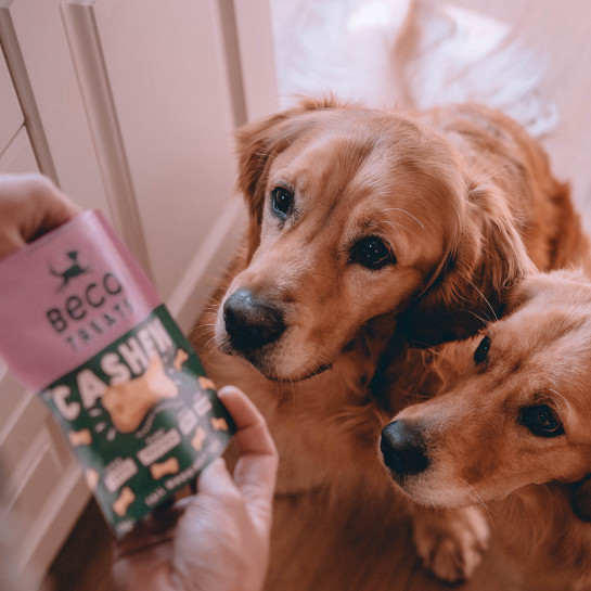 Beco Treats Cashew hondensnacks