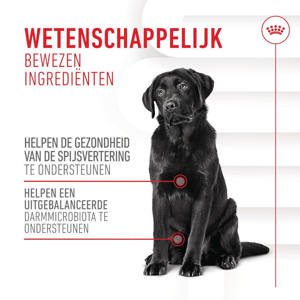 Royal Canin Digestion Chews voedingssupplement hond