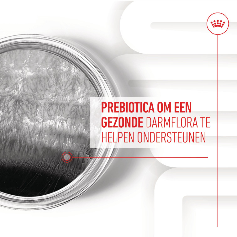Royal Canin Digestion Chews voedingssupplement hond