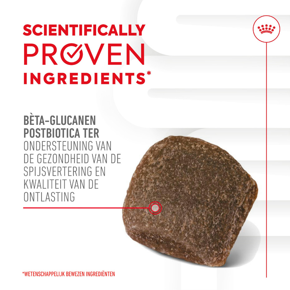 Royal Canin Digestion Chews voedingssupplement hond