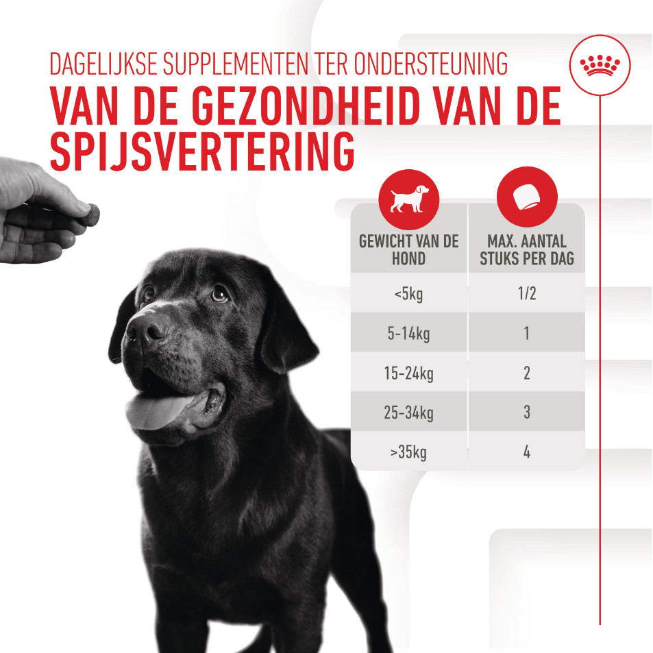 Royal Canin Digestion Chews voedingssupplement hond